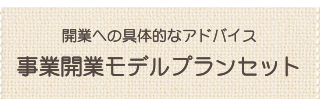 事業開業モデルプランセット